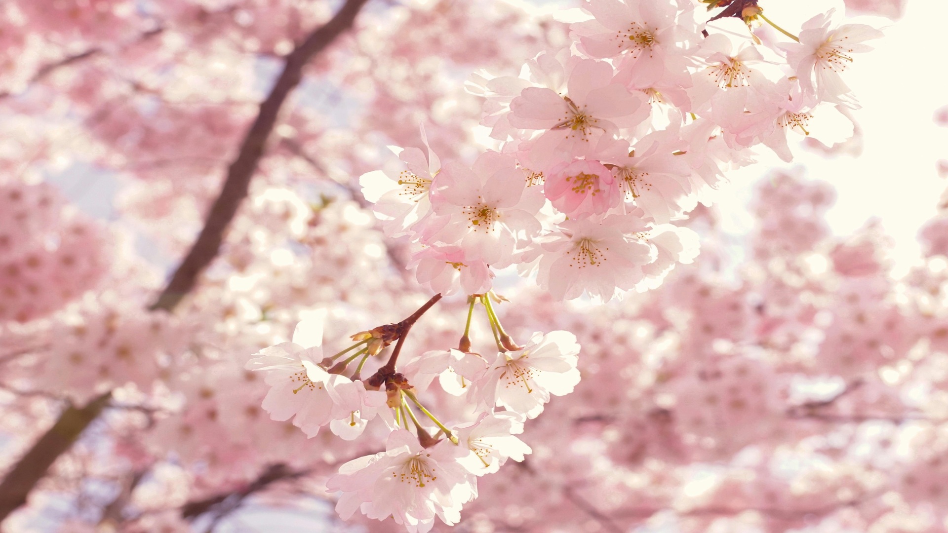 azblob://2025/04/04/eyecatch/2025-04-04-graduation-research-using-chatgpt-000.jpg