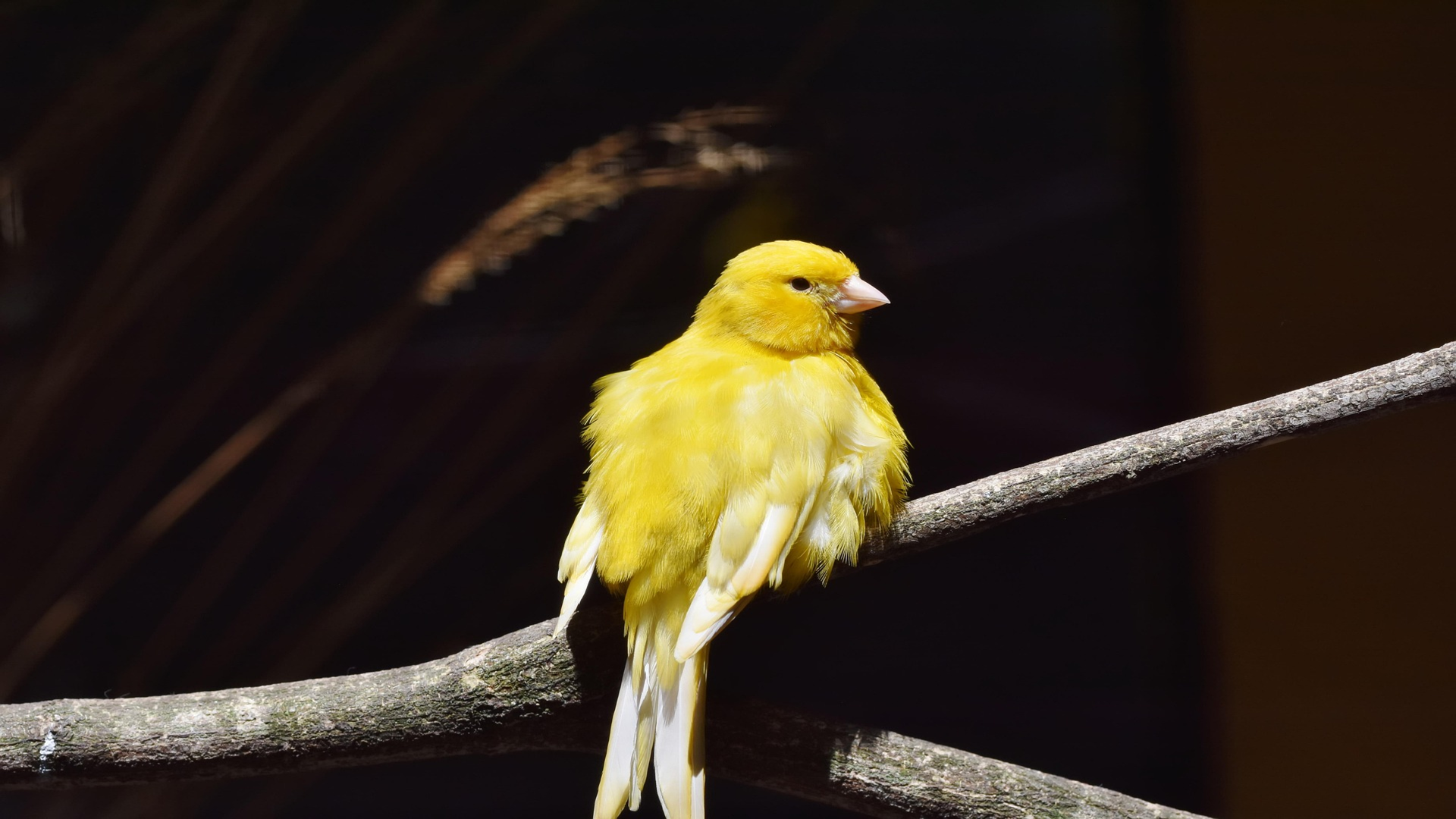 azblob://2026/01/27/eyecatch/2026-01-27-canary-and-blue-green-deployment-000.png